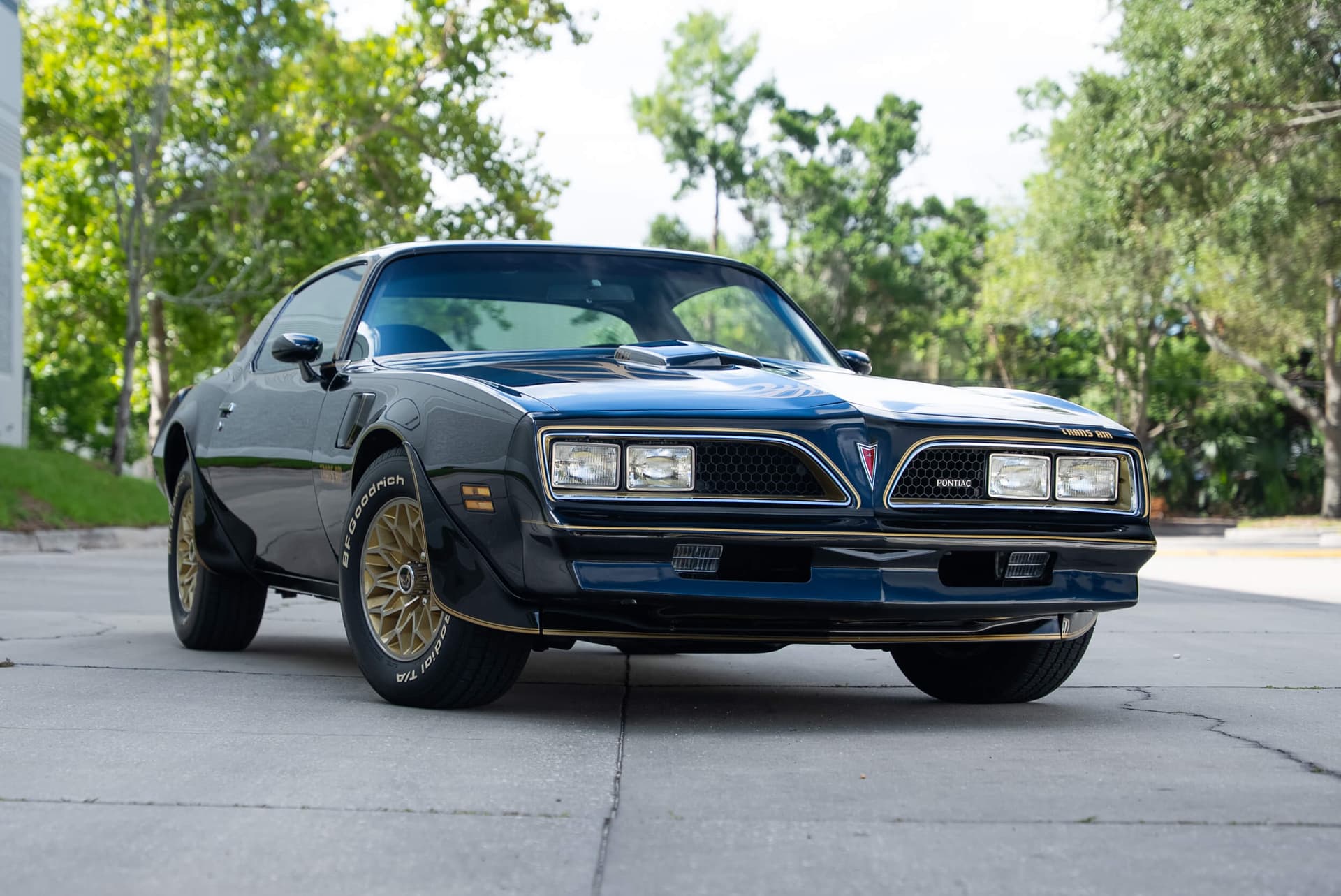 1977 Pontiac Trans Am Special Edition (Y81) — photo 3