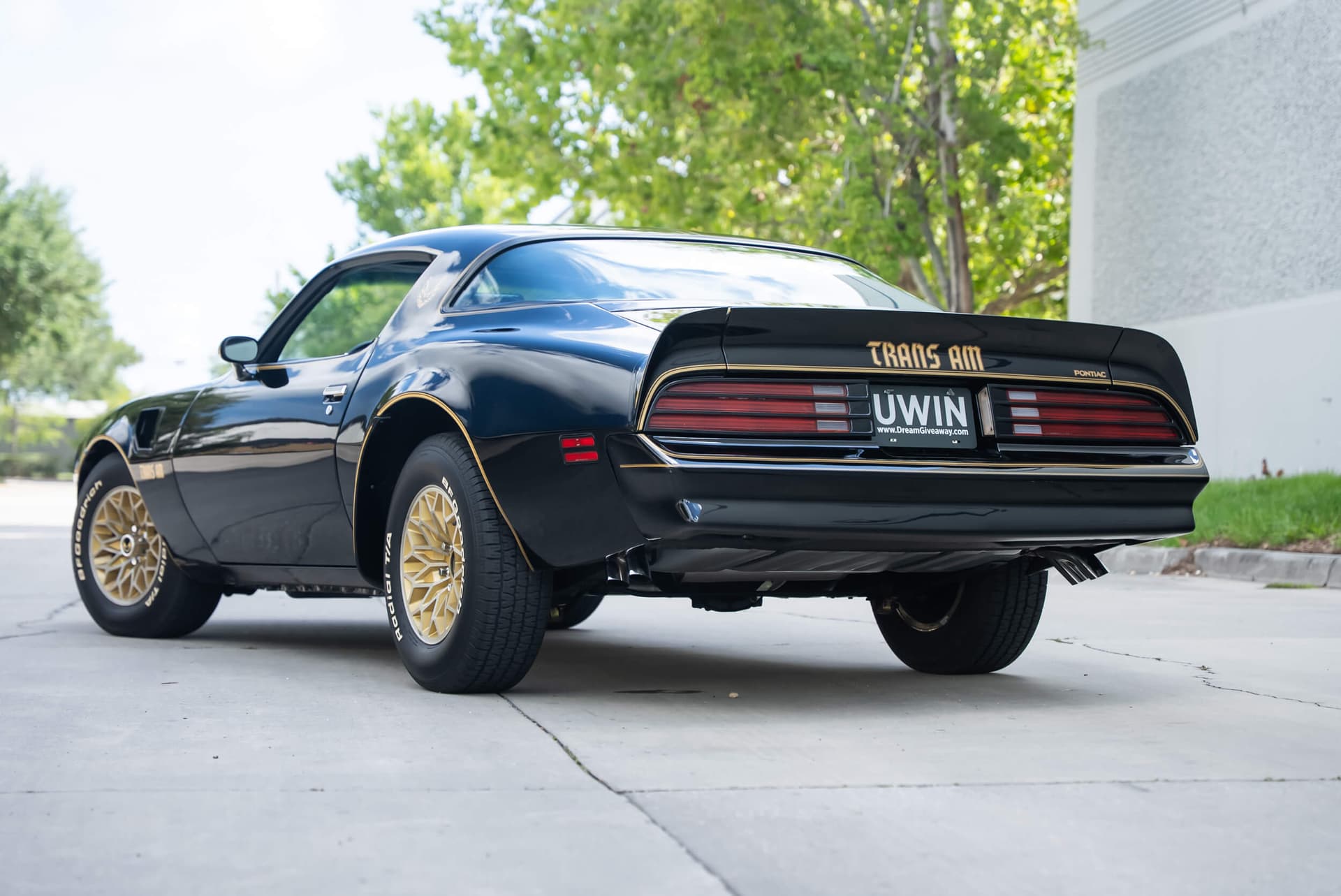 1977 Pontiac Trans Am Special Edition (Y81) — photo 4