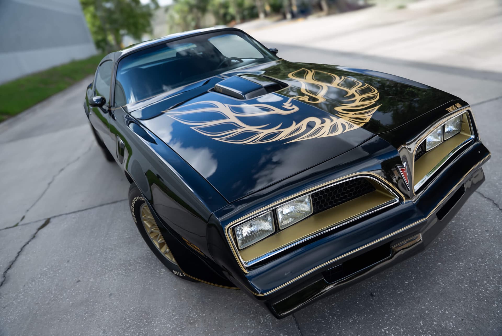 1977 Pontiac Trans Am Special Edition (Y81) — photo 2