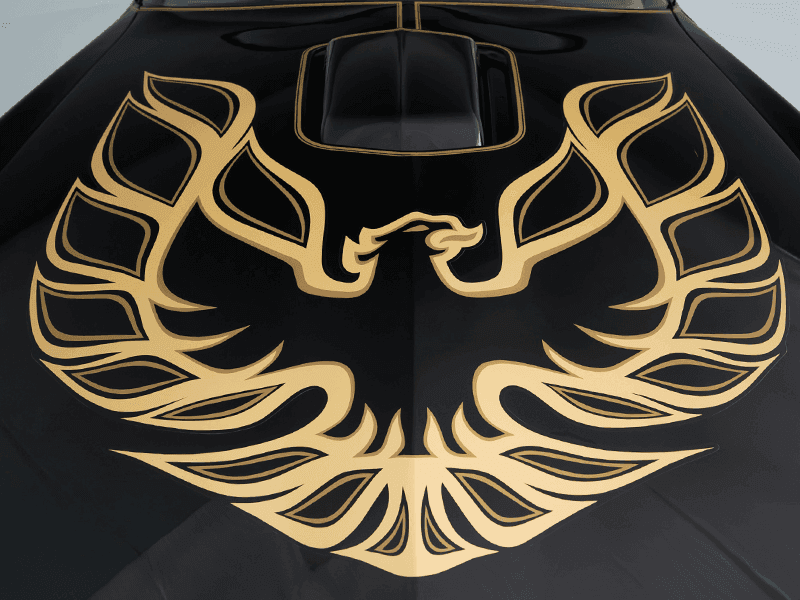 1977 Pontiac Trans Am Special Edition (Y81) — photo 7
