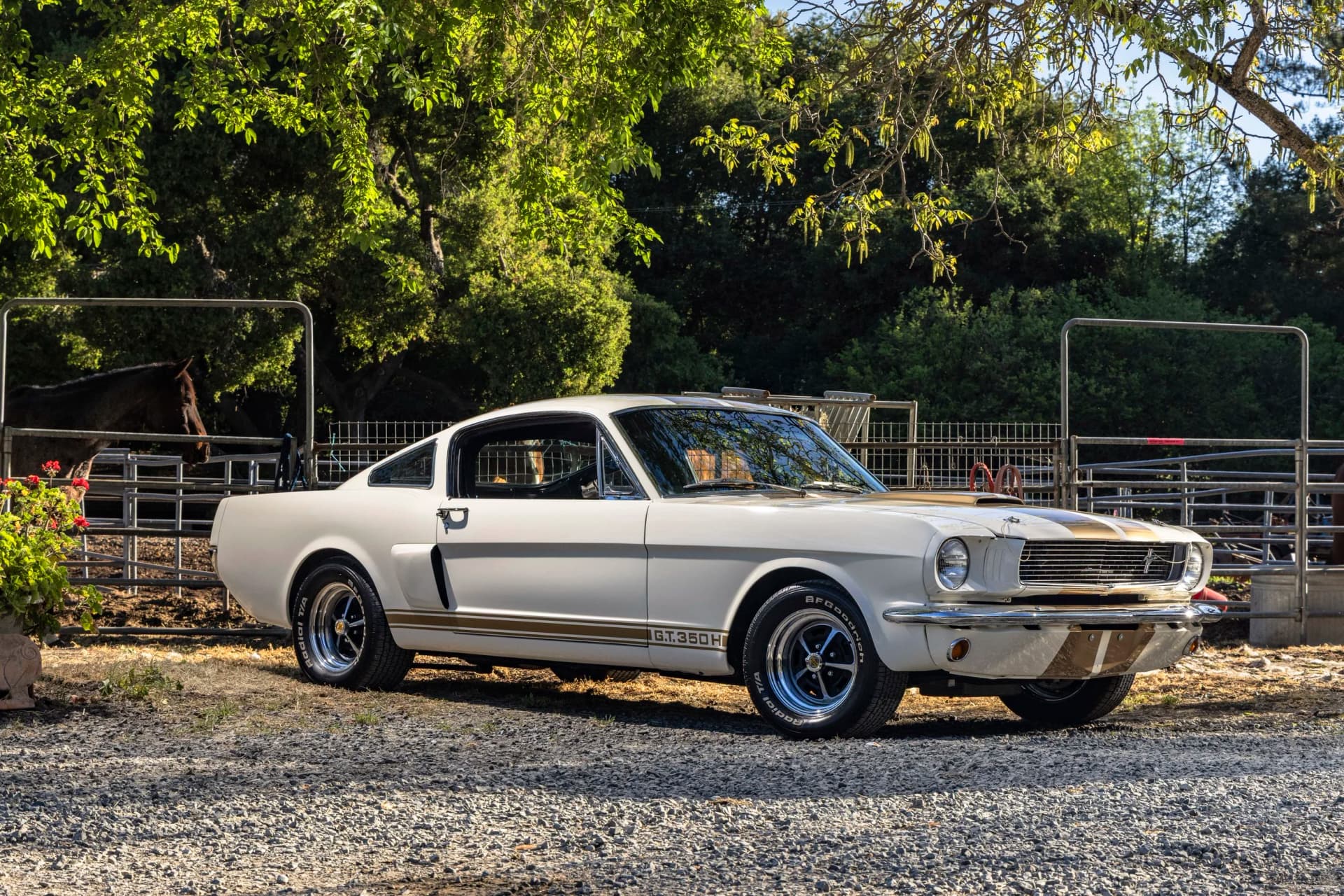 Win a 1966 Shelby GT350H "Hertz Rent-A-Racer" from The Cobra Experience